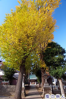 廻沢稲荷神社の紅葉の写真