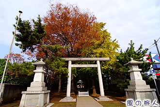 中町天祖神社の紅葉の写真