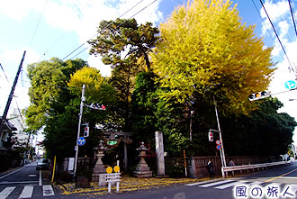 奥沢神社の紅葉の写真