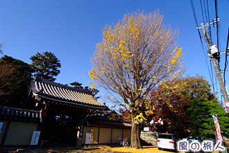 烏山寺町妙寿寺の紅葉の写真