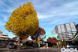 太子堂円泉寺の紅葉の写真