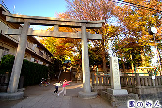 北沢八幡神社の紅葉の写真