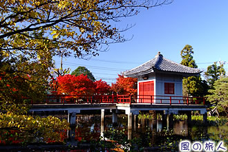 烏山寺町高源院の紅葉の写真