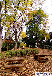 駒沢緑泉公園の紅葉の写真