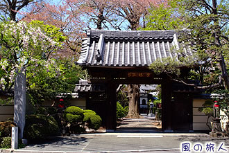 無量寺の桜の写真