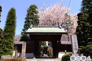 東覚院の桜の写真