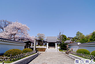 代田の円乗院の写真