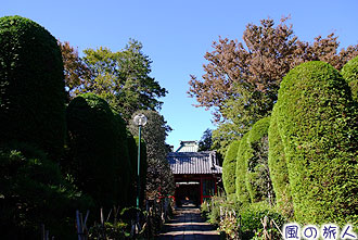 赤堤の西福寺の写真