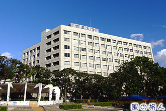 駒澤大学の写真