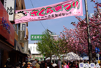 桜新町の桜まつりの写真