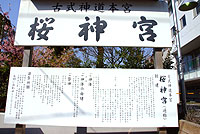 桜神宮（古式神道本宮）の案内板の写真