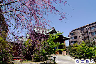 桜神宮（古式神道本宮）の写真