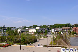 二子玉川公園の写真