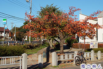 丸子川と六郷用水跡の写真