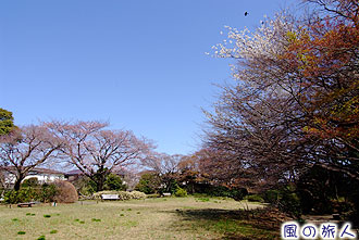 桜丘すみれば自然庭園の写真