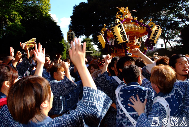 太子堂八幡神社祭礼　下の谷町会の神輿の写真