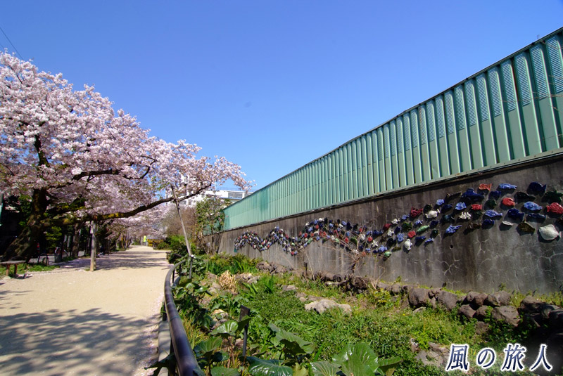 北沢川緑道　代沢小学校の壁