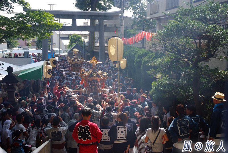 北沢八幡神社の神輿　宮入の様子