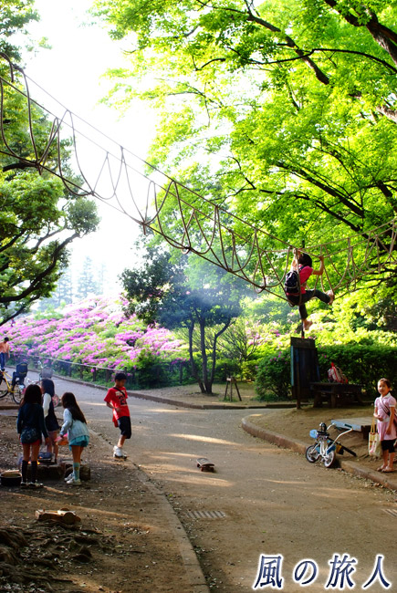 世田谷公園　プレーパークで腕白に遊ぶ子供たち