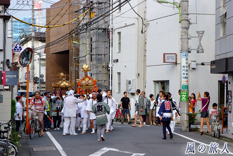 池尻稲荷神社例大祭　町会神輿の渡御の写真