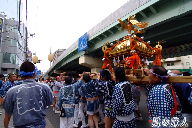 駒留八幡神社の秋祭り　環七の駒留陸橋下を進む一三睦神輿