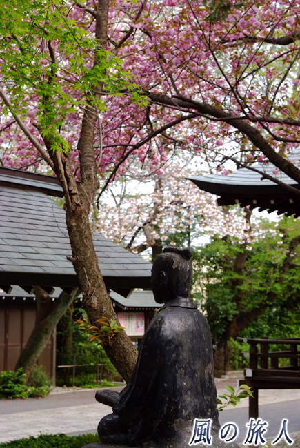 松陰先生の像と桜の花