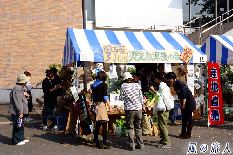 農大収穫祭　産地直送の野菜が売られている店