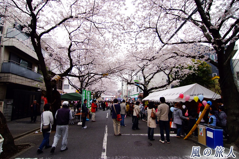 上北沢桜まつり　通りの様子