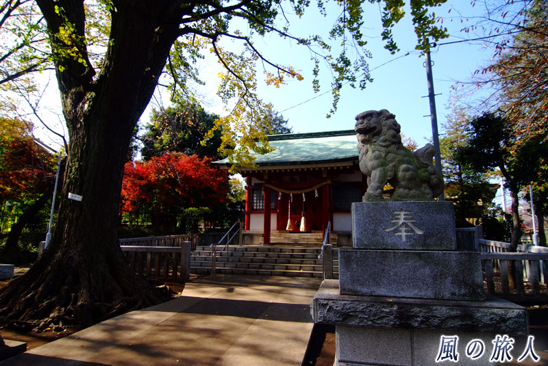 粕谷八幡神社　狛犬と社殿の写真