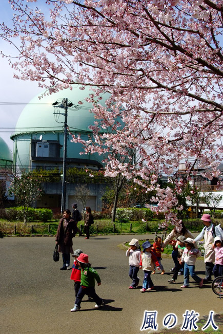 桜の季節のガスタンク