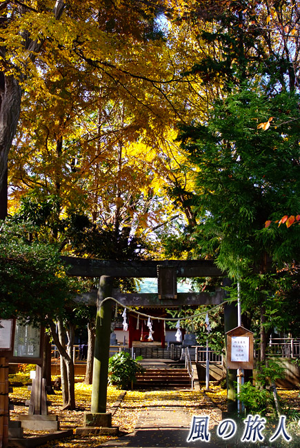粕谷八幡神社　鳥居付近の写真