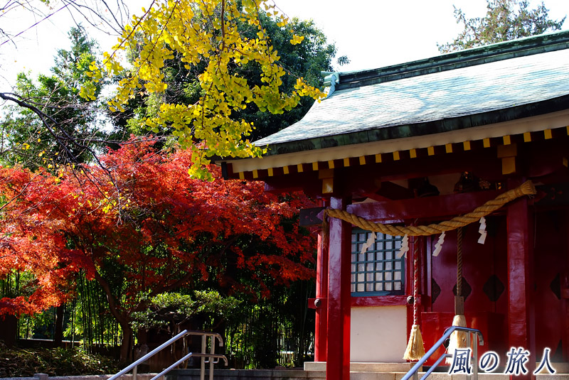 粕谷八幡神社　紅葉の季節の写真