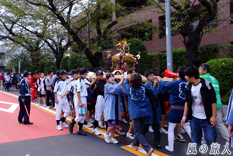 粕谷八幡神社の秋祭り　神輿渡御の様子の写真