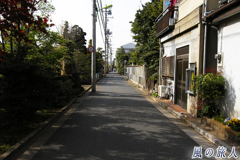 六郷田無道　吉実園付近の真っ直ぐで細い道