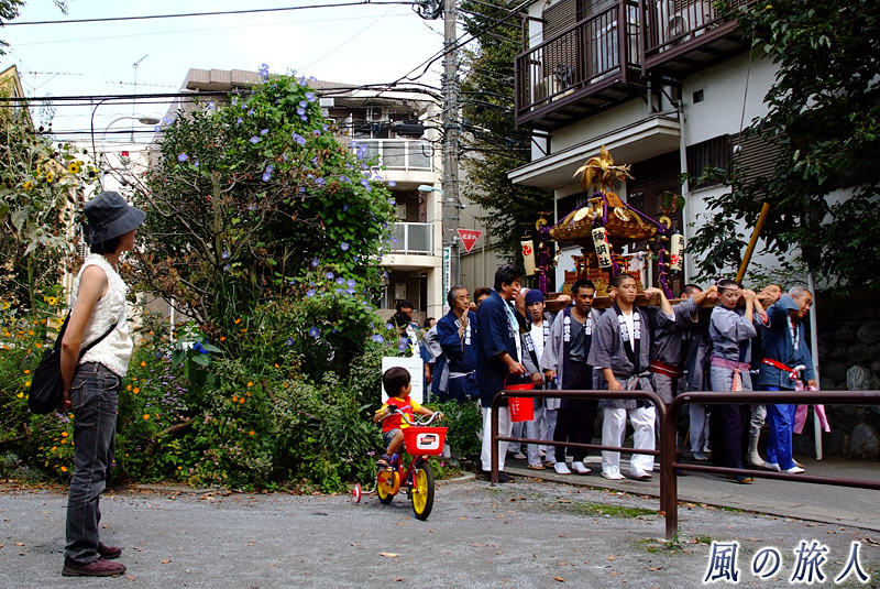 上祖師谷神明神社の秋祭り　大人神輿の渡御