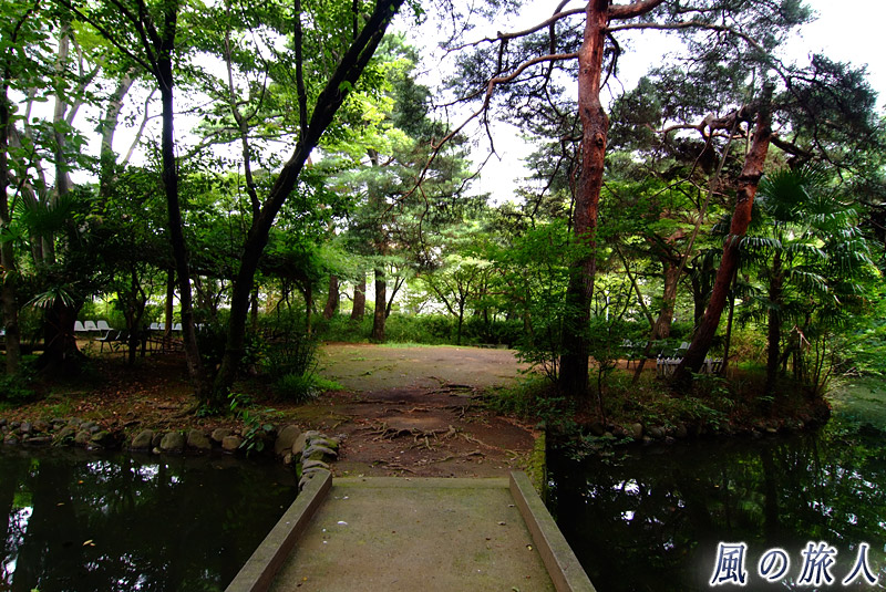 成城学園の池　中の島