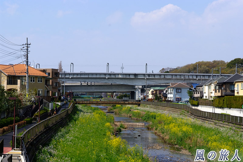 世田谷通りから見た野川と小田急線の高架橋