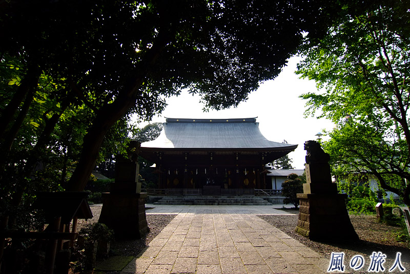 喜多見氷川神社　狛犬と拝殿