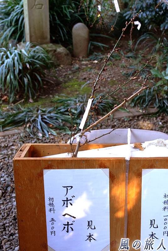 喜多見氷川神社　正月に売られるアボヘボ