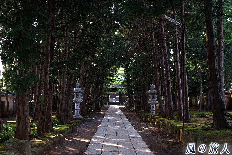 慶元寺　美しい杉並木の参道