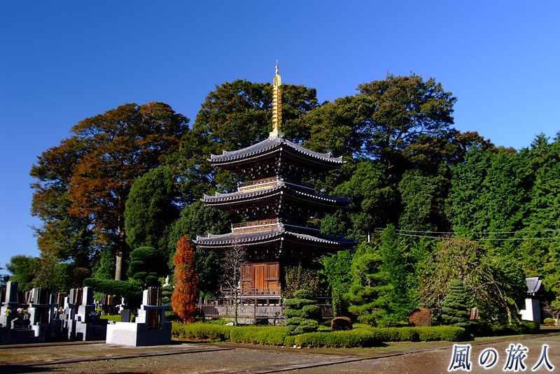 慶元寺　三重の塔