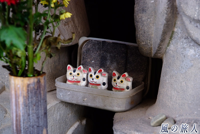 慶元寺　三匹の招き猫