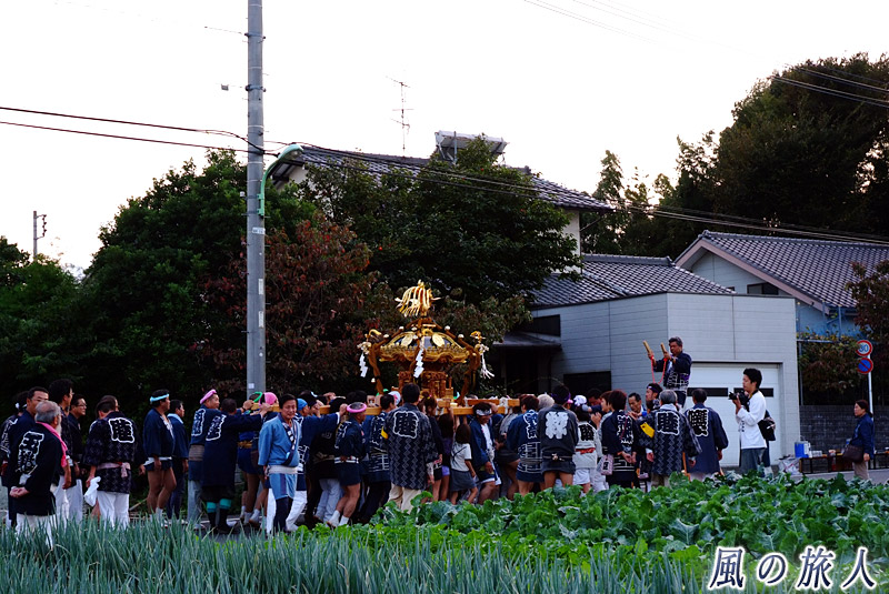 宇奈根氷川神社　農村風景の中を進む神輿