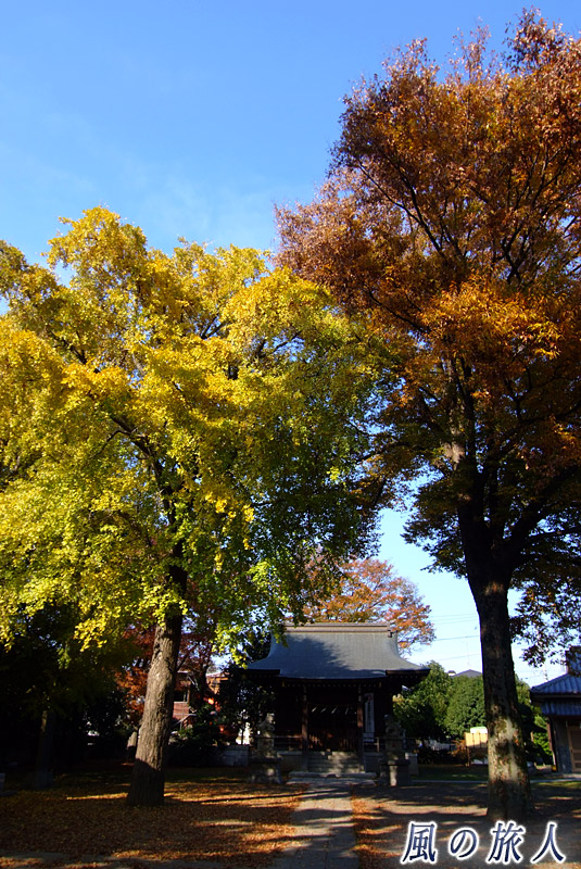宇奈根氷川神社　三の鳥居のような二本の大木