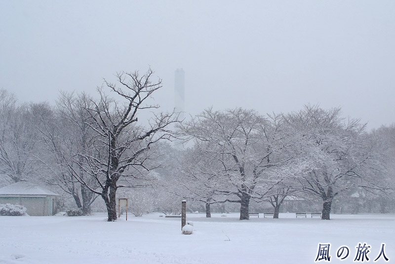 都立砧公園　ねむの木広場　雪の季節