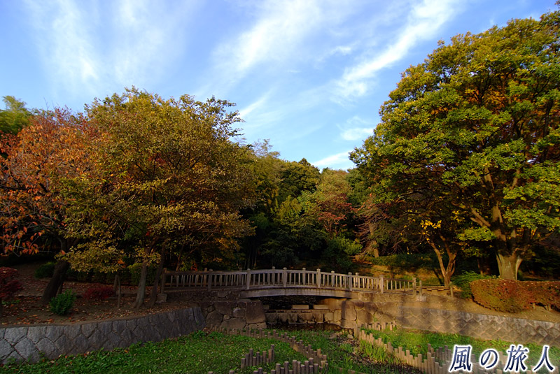 岡本公園　秋の岡本公園の写真