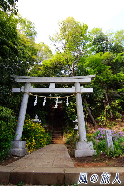 岡本八幡神社　鳥居と参道の階段の写真