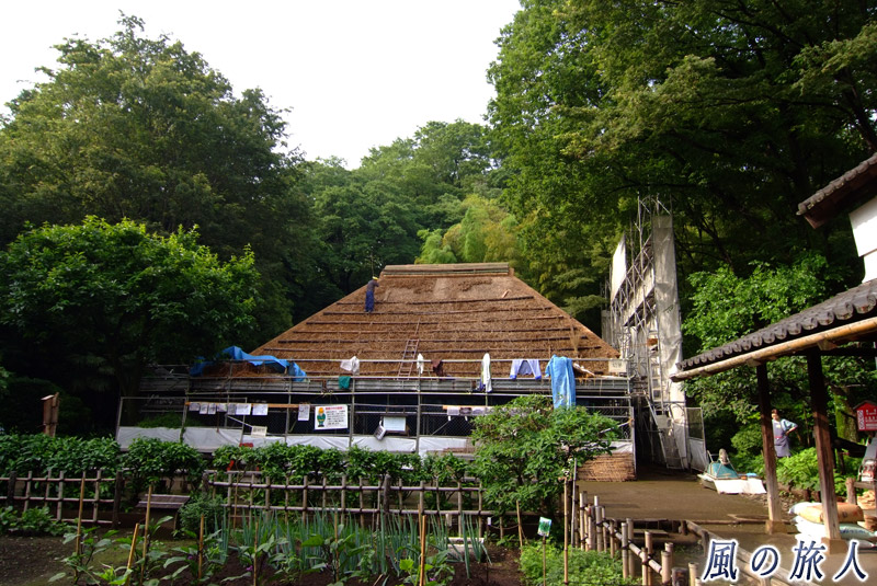 岡本民家園　茅葺屋根の葺き替えの写真