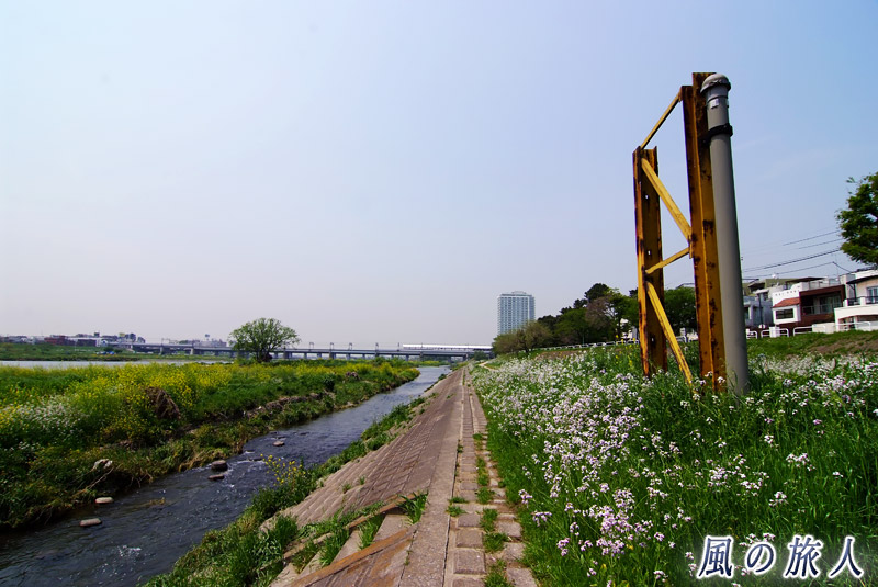 多摩川の風景　再開発前の二子玉川駅の南側河川敷を写した写真