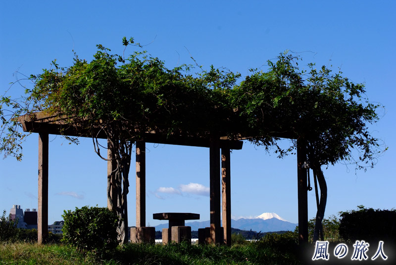 土手のベンチと富士山を写した写真